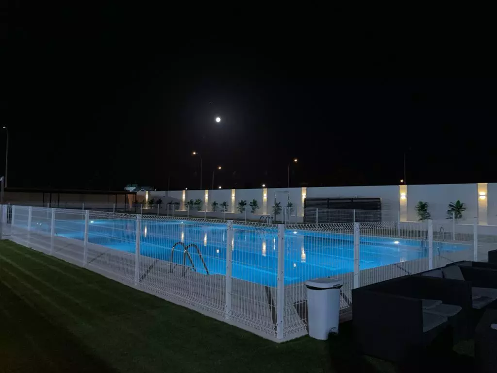 Professional soccer pitch