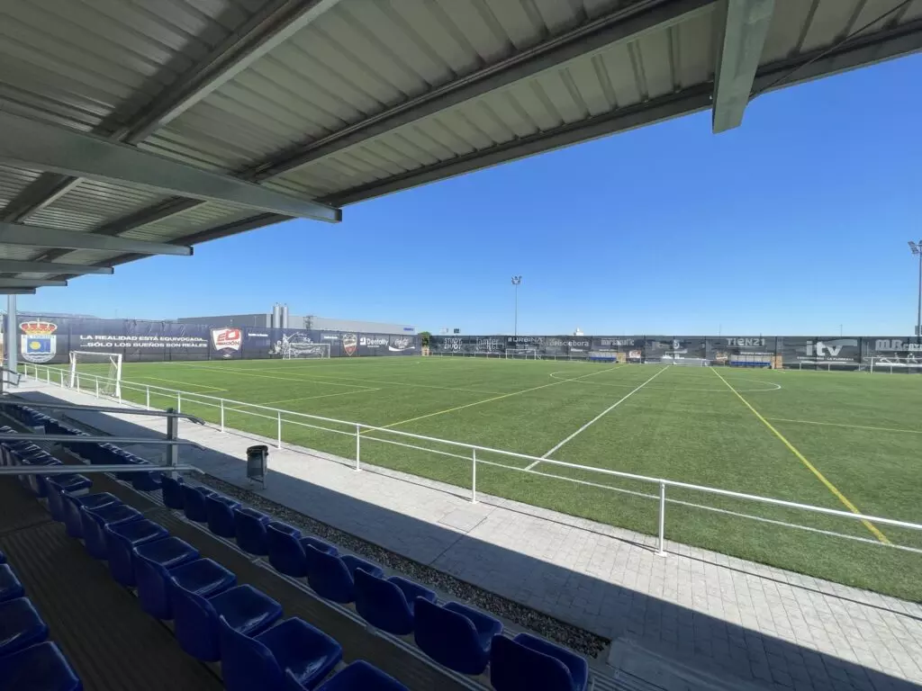 Professional soccer pitch